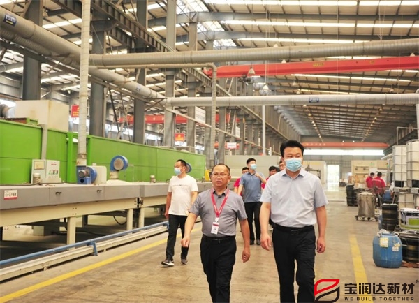 熱烈歡迎葉縣領導蒞臨寶潤達考察